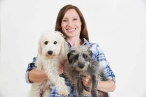 become a pet sitter