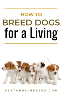 dog breeding business