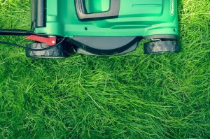 starting a landscaping lawn care business