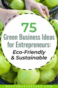 green business ideas that are eco-friendly and sustainable